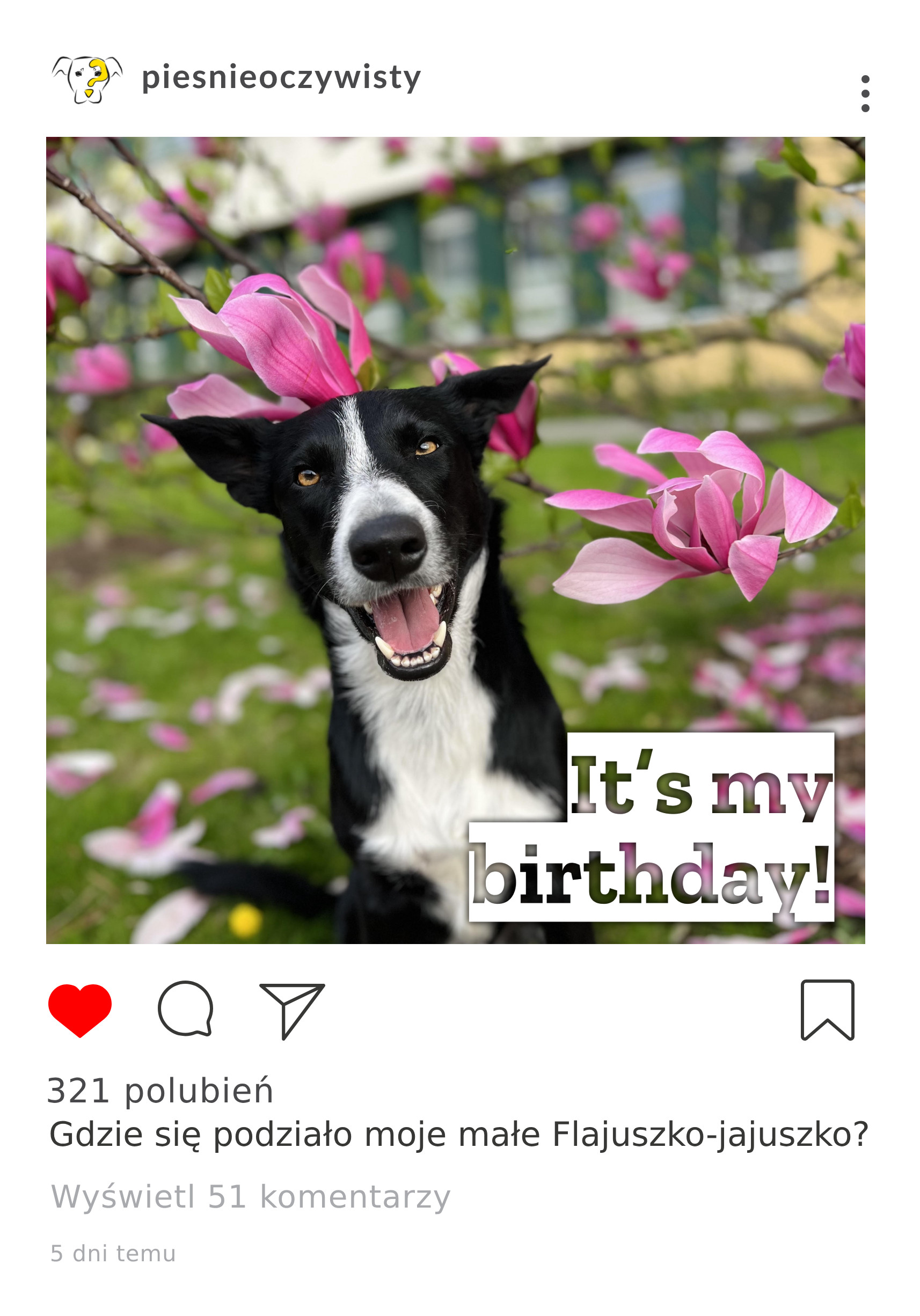 Ostatni post z instagrama